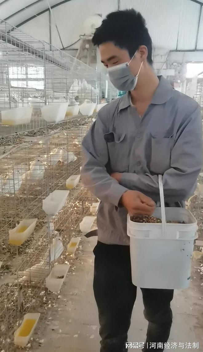 河南伊川!曾經陸戎興盛地 有志青年事竟成