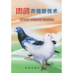 肉鴿養殖新技術
