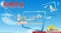 肉鴿 種鴿 乳鴿 鴿子種鴿 鴿籠 肉鴿種鴿養(yǎng)殖場(chǎng)[供應(yīng)]_禽類_世界工廠網(wǎng)中國(guó)產(chǎn)品信息庫(kù)