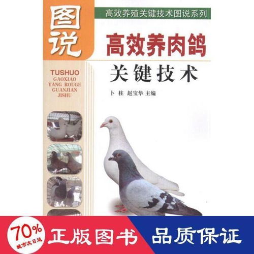 高效養(yǎng)殖關(guān)鍵技術(shù)圖說(shuō)系列 圖說(shuō)高效養(yǎng)肉鴿關(guān)鍵技術(shù)