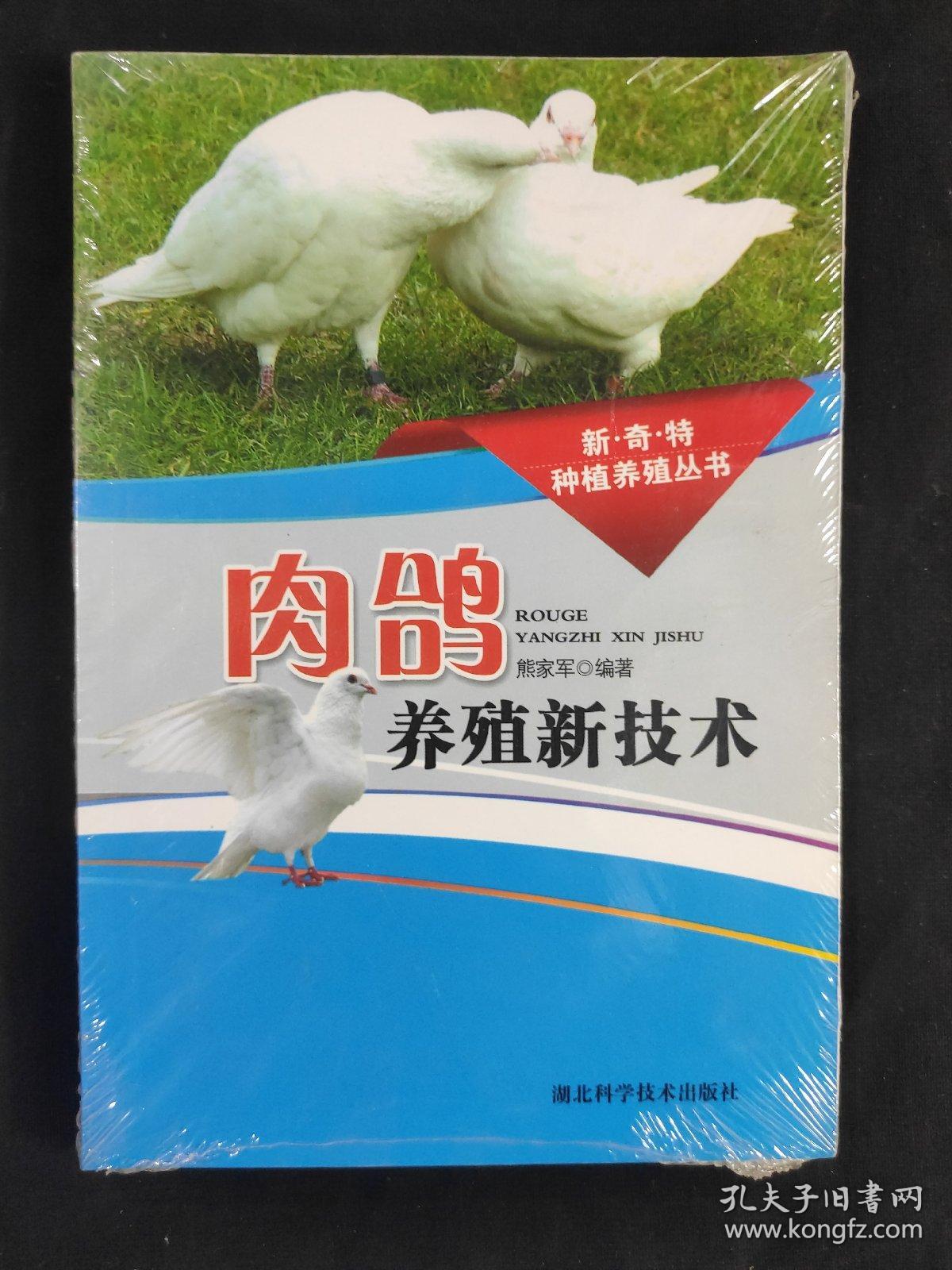 肉鴿養殖新技術
